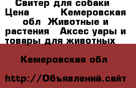  Свитер для собаки › Цена ­ 450 - Кемеровская обл. Животные и растения » Аксесcуары и товары для животных   . Кемеровская обл.